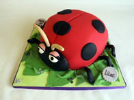 Celebration Cake