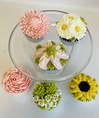 Cake decorating classes
