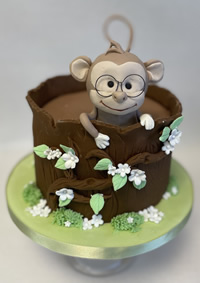 Cake decorating classes